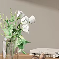 Transparent Glass Vase With White Flowers And Green Leaves On Light Gray Wall Background