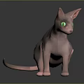 Hairless Sphynx Cat With Bright Green Eyes Standing On Dark Surface