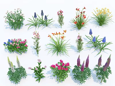 Diverse Types of Colorful Floral Plants with Multicolored Flowers and Lush Green Leaves 3d model