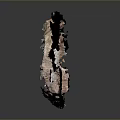 Fossil Sculpture Embedded in Red Brown Rock with Marine Creature Skeleton on Black Display Stand