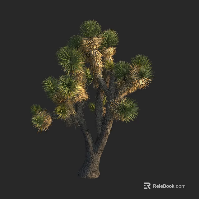 Joshua Tree With Green Foliage And Woody Trunk Against Dark Background 3d model 