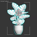 Green Monstera Potted Plant in White Ceramic Pot with Large Leaves