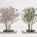 Ornamental Trees with Pink Flowers Green Leaves Stones and White Decorations on Gray Bases