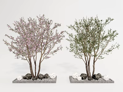 Ornamental Trees with Pink Flowers Green Leaves Stones and White Decorations on Gray Bases 3d model