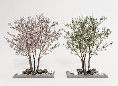 Modern peach tree landscape tree peach tree peach blossom plant sketch 3d model