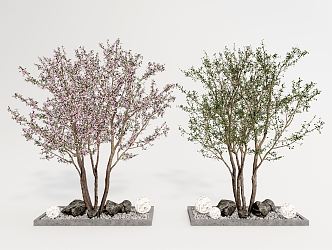 Modern peach tree landscape tree peach tree peach blossom plant sketch 3d model