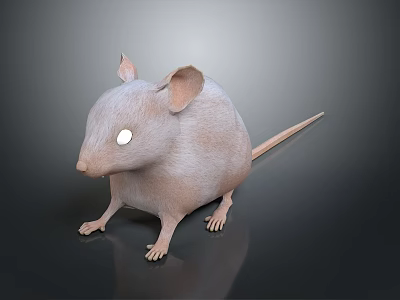 Light Brown Mouse With Large Ears White Eyes And Long Tail Standing On Black Background 3d model