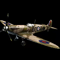 Vintage Fighter Aircraft With Propeller Camouflage Paint Wing Insignia And DCOY Marking