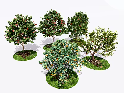 Various Arbor Trees With Fruits And Green Leaves On Circular Lawns 3d model