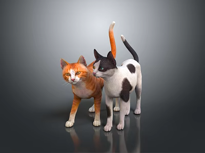 Two Cats Orange White and Black White Standing Together On Gray Background With Reflective Surface 3d model