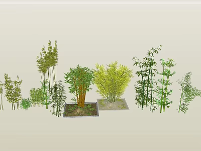 Various Bamboo Varieties With Different Heights And Lush Green Foliage For Garden Decor 3d model