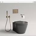Modern Grey Toilet With Gold Shower Head Toilet Paper Holder And Switch Panel