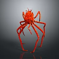 Red Spider Like Marine Creature With Long Legs And Distinctive Appearance On Dark Background