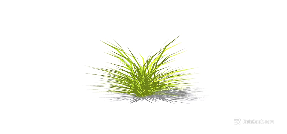 Fresh Green Grass With Slender Leaves Growing In Clump On White Background And Soft Shadow 3d model 
