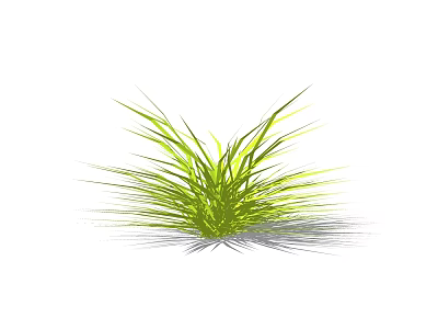 Fresh Green Grass With Slender Leaves Growing In Clump On White Background And Soft Shadow 3d model