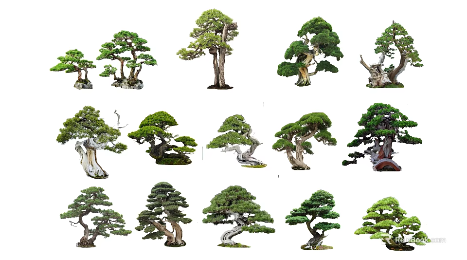 Diverse Artistic Shaped Arbor Trees With Unique Trunk Branch And Foliage Styles 3d model 