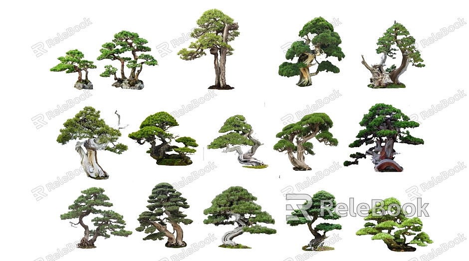 New Chinese Style Pine, Pohan Pine, Pohan Pine Combination Plant Zen Tree model