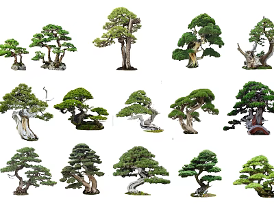 Diverse Artistic Shaped Arbor Trees With Unique Trunk Branch And Foliage Styles 3d model