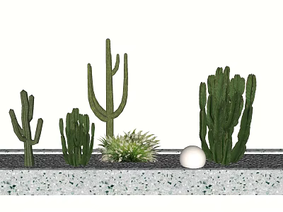 Potted Cactus Plants With Various Types And White Spherical Decor On Gray Speckled Countertop 3d model