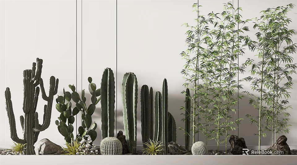 Decorative Indoor Plant Arrangement With Cactus Bamboo And Stones Along White Wall 3d model 