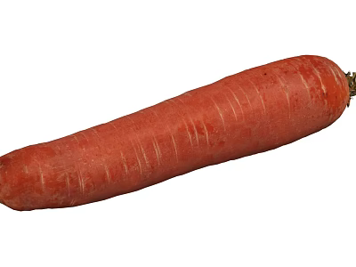 Fresh Organic Carrot with Smooth Orange Skin and Green Leafy Top for Healthy Eating 3d model