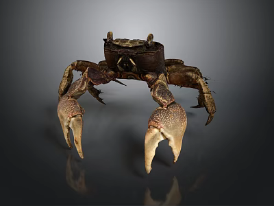 Detailed Realistic Brown Crab With Large Textured Claws And Segmented Shell Legs 3d model