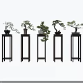 Multiple Wooden Plant Stands With Bonsai Plants In Various Decorative Designs