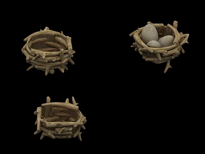 Three Natural Bird Nests with Eggs in One on Black Background 3d model