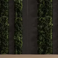 Lush Green Living Wall With Vertical Plant Arrangement And Dark Background Design