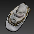Fresh Open Oyster with White and Pink Flesh Inside Dark Edged Shell