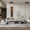 Modern Living Room Interior Design With White Sofa Coffee Table Grey Rug And Green Plant