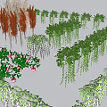Different Types Of Decorative Vines With Hanging Green Leaves And Pink Flowers