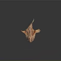 Orange Striped Aquatic Animal With Frilly Fins On Dark Reflective Surface