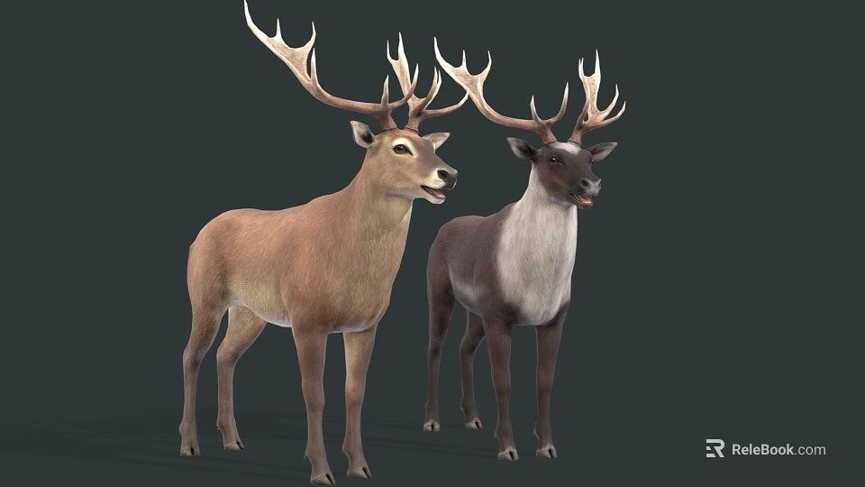Diverse Reptile Species Showcasing Unique Physical Features And Natural Traits 3d model 