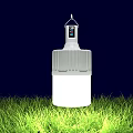 Bright White LED Bulb Hanging Over Green Grass Illuminated At Night