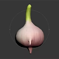 Pink Garlic Vegetable With Green Stem Against Black Background Showing Reflection 3d model