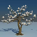 White Flowering Arbor With Brown Trunk And Blue Sky Background Shadow 3d model