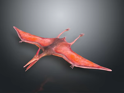 Red Brown Pterosaur 3D Model With Spread Wings On Dark Background 3d model