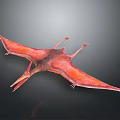 Red Brown Pterosaur 3D Model With Spread Wings On Dark Background 3d model