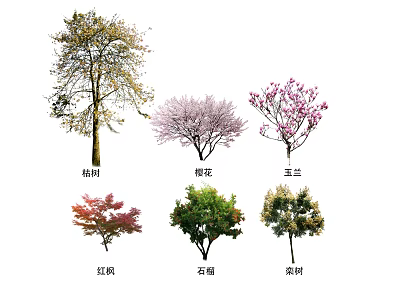 Arboreal Trees Collection Featuring Chinese Parasol Cherry Blossom Magnolia Red Maple Camphor And Koelreuteria 3d model