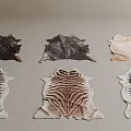 Stylish Animal Skin Shaped Rugs with Various Colors and Patterns for Home Interior
