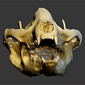 White Animal Skull With Sharp Teeth And Reflection On Dark Background Surface