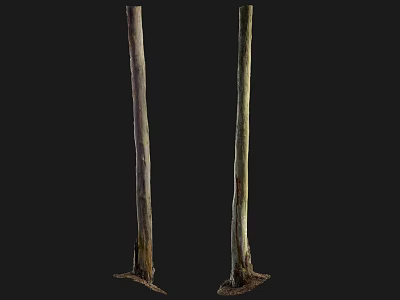 Tall Rustic Wooden Pillars With Natural Stone Bases And Textured Surfaces 3d model