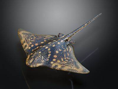 Modern Manta Ray Marine Fish 3d model