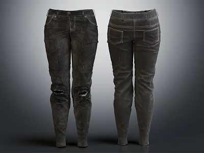 Distressed Slim Fit Jeans With Side Pockets And Classic Design 3d model