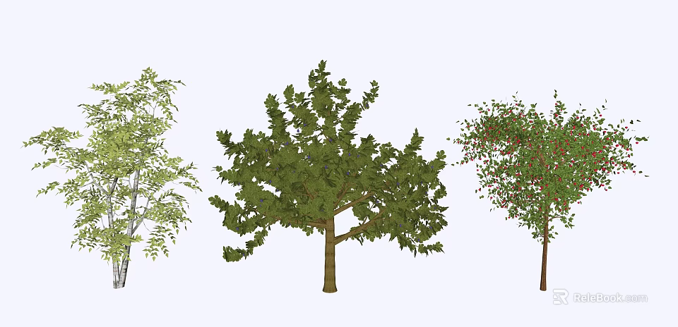 Different Types of Trees with Green Foliage and Varied Leaf Shapes 3d model 