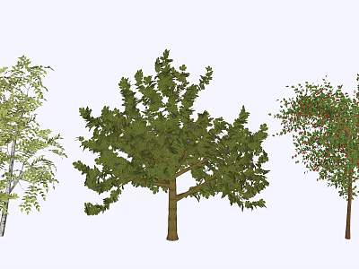 Different Types of Trees with Green Foliage and Varied Leaf Shapes 3d model