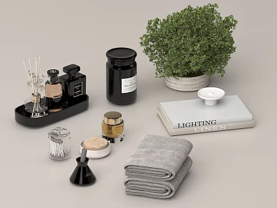 Washing Daily Supplies Collection with Aromatherapy Jars Towels Potted Plant Candle and Book 3d model