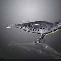 Realistic Grayish Blue Spotted Seal With Open Mouth And Lifelike Pose