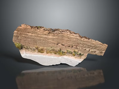Eco Friendly Layered Rock Garden Landscape With Green Plants On Natural Surface 3d model